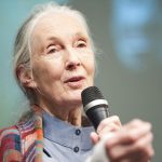 Jane Goodall tries to keep the faith about reversing climate change in her new book, "The Book of Hope." (Credit: Flickr)