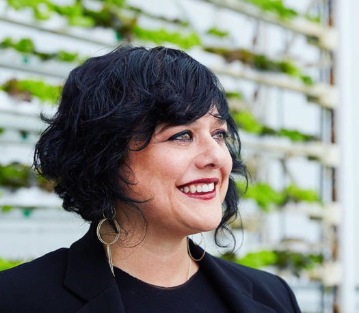 Nona Yehia is the CEO of Vertical Harvest, the first vertical farm in the northern hemisphere.